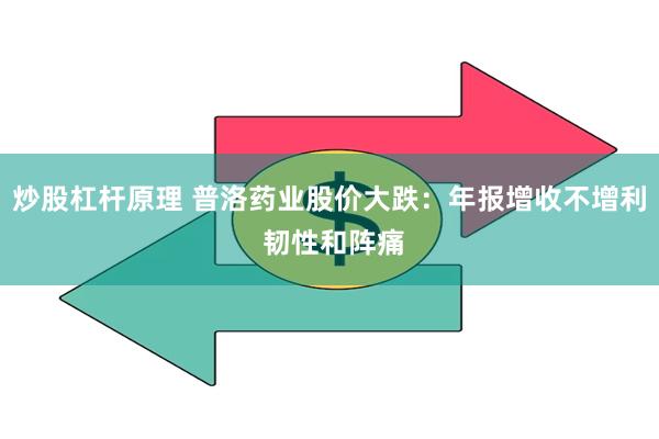 炒股杠杆原理 普洛药业股价大跌：年报增收不增利 韧性和阵痛