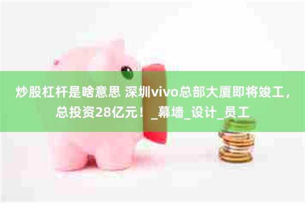 炒股杠杆是啥意思 深圳vivo总部大厦即将竣工，总投资28亿元！_幕墙_设计_员工