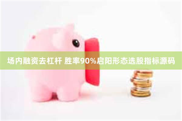 场内融资去杠杆 胜率90%启阳形态选股指标源码