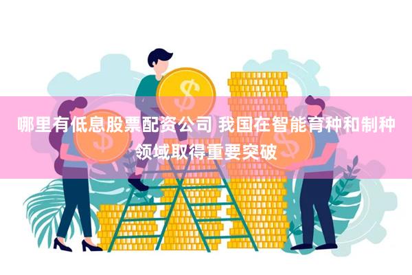 哪里有低息股票配资公司 我国在智能育种和制种领域取得重要突破