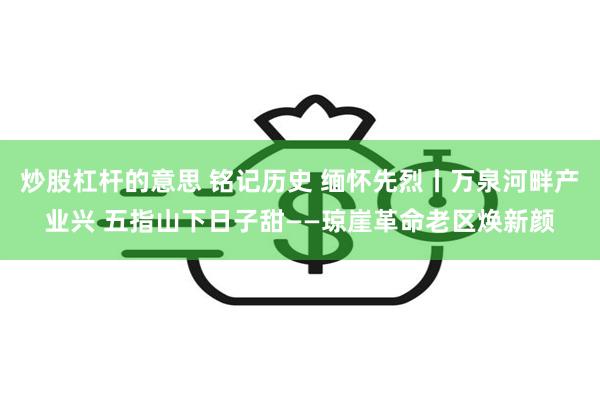 炒股杠杆的意思 铭记历史 缅怀先烈丨万泉河畔产业兴 五指山下日子甜——琼崖革命老区焕新颜